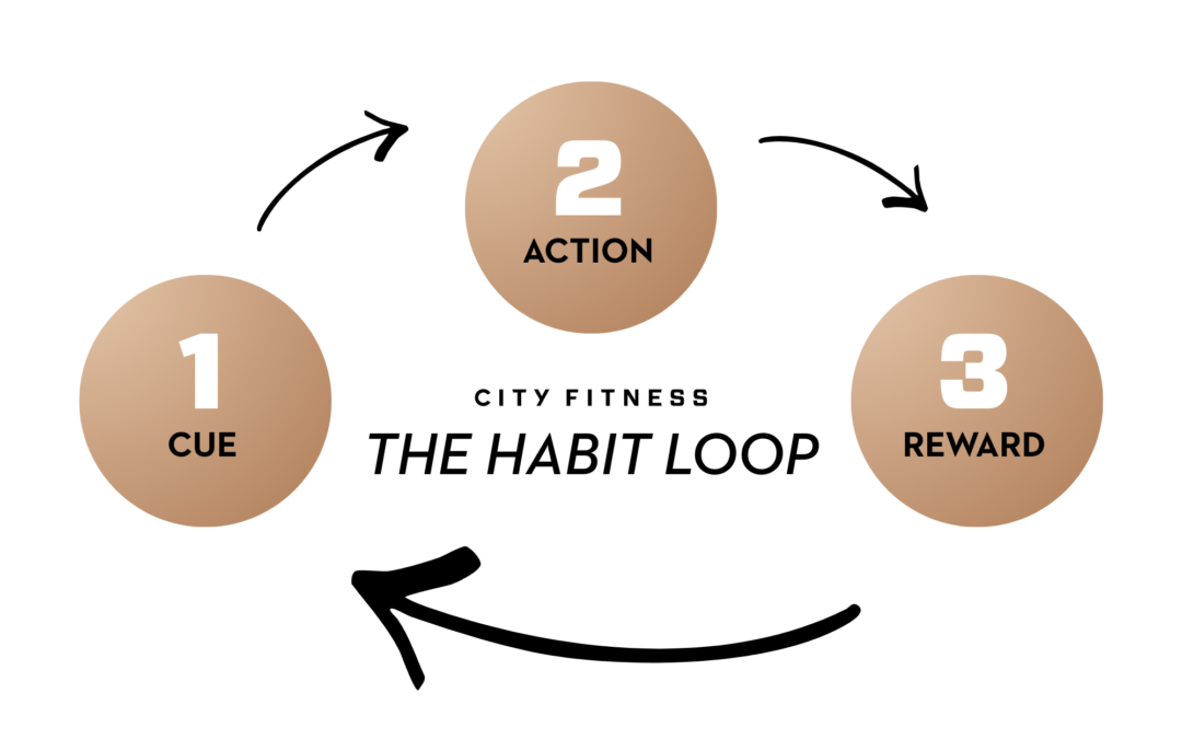 The Habit Loop